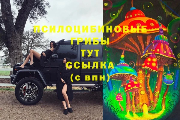 гидропоника Нязепетровск