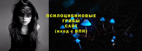 MESCALINE Няндома