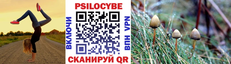 Галлюциногенные грибы Psilocybine cubensis  Ступино 