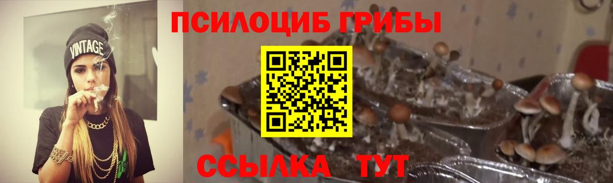 Ступино  Псилоцибиновые грибы Psilocybine cubensis  Галлюциногенные грибы мухоморы  Вход с VPN 